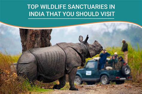 The Top 10 Wildlife Sanctuaries In India Safari Deal