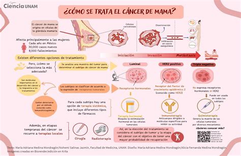 Infografia Cancer De Mama Images And Photos Finder