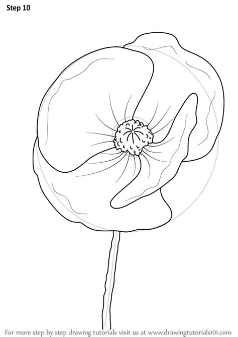 How To Draw A Poppy Flower Easy Step By Step How To Draw A Tulip