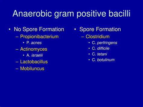 Gram Negative And Anaerobic Antibiotic Coverage