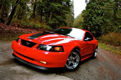 2003 Mach 1 I Will Own One Of These Sooner Then Later Or Maybe After