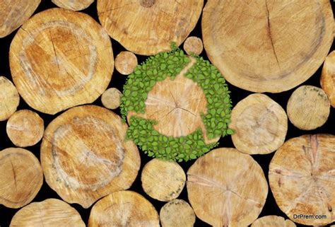 Complete Beginners Guide To Buying Sustainable Wood