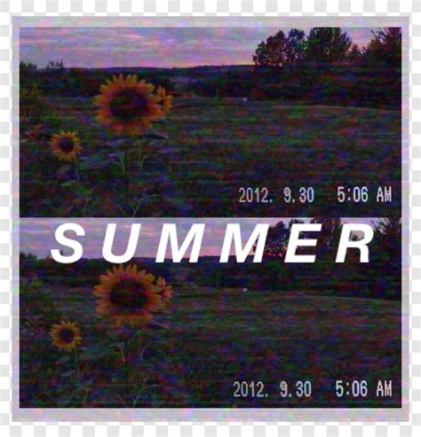 Summer Playlists Cover Playlist Covers Photos Music Album Cover