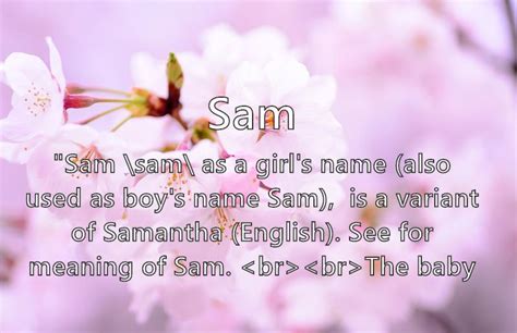 Sam What Does The Girl Name Sam Mean Name Image