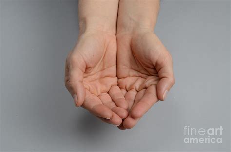 Cupped Hands Photograph By Photo Researchers Inc