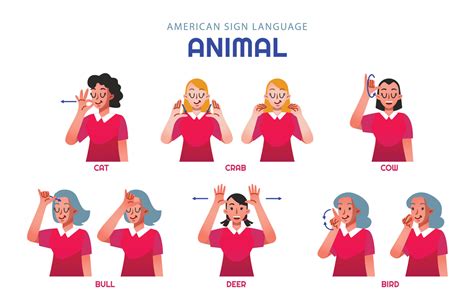 Asl Animal Character Set 11876009 Vector Art At Vecteezy