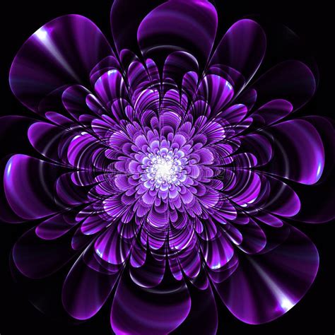 Beautiful Purple Flower On Black Background Computer Generated Stock