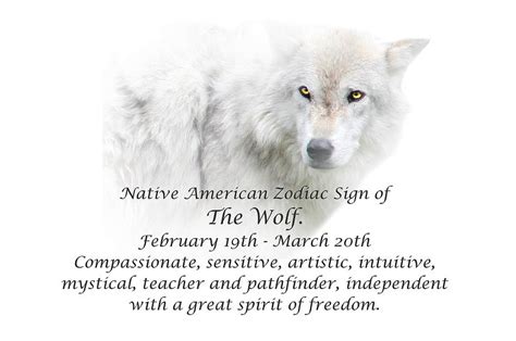 Native American Zodiac Sign Of The Wolf Photograph By Stephanie Laird