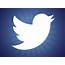 New Twitter Bird Logo Vector Art & Graphics  Freevectorcom