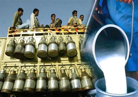 Asias Milk Demand Will Increase To 320 Mn Tonnes In 6 Yrs Indiatv