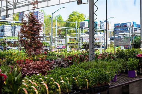 Photo Gallery Spring In Full Bloom At The Lowes Garden Center Lowe