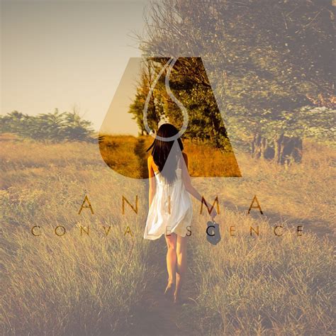 Anima - Convalescence [enrmp377] : Anima : Free Download, Borrow, and