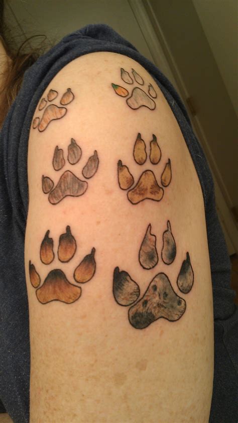 The Paw Prints Of My Last 6 Dogs In Their Colors And