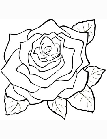 Give your children free will to explore and have fun looking at them go about it. Rose coloring page | Free Printable Coloring Pages