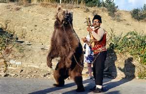ファイルdancing Bear In Bulgaria About 1970 1 Wikipedia