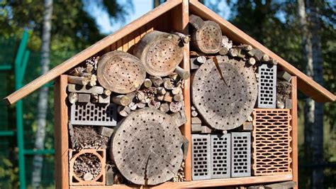 Make A Bug Hotel In Your Garden How And Why To Build A Bug Hotel
