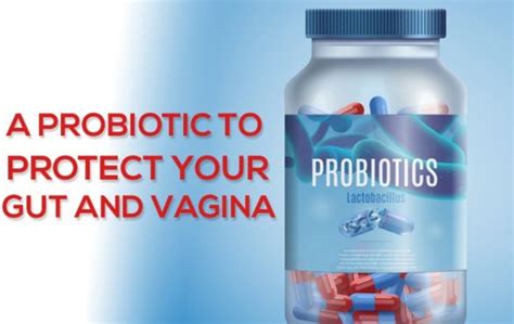 Lactobacillus Gasseri A Probiotic To Protect Your Gut And Vagina