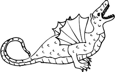 Let's see dinos on this wiki! Free Printable Dinosaur Coloring Pages