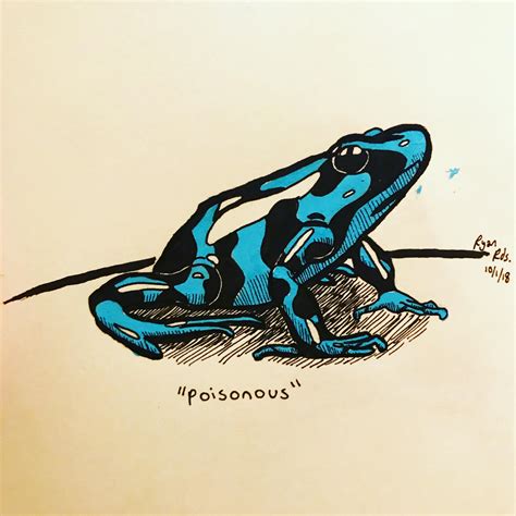 Https://techalive.net/draw/guide On How To Draw A Posion Dart Frog