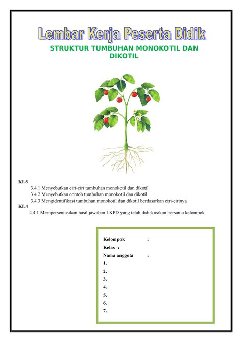 Lkpd Struktur Tumbuhan Monokotil Dan Dikotil Kelompok Kelas Nama