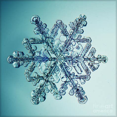 Ice Crystal Snowflake Macro Photograph By Kichigin