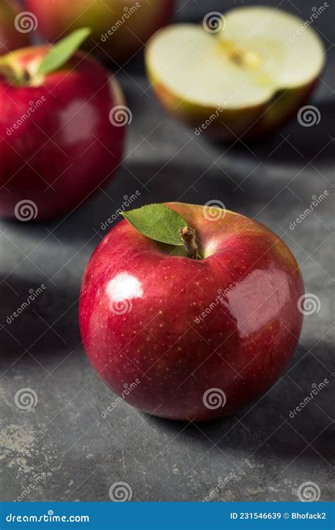 Healthy Organic Mcintosh Apples Stock Image Image Of Branch Health