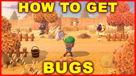 Animal Crossing New Horizons How To Catch Bugs With A Bug Net Youtube