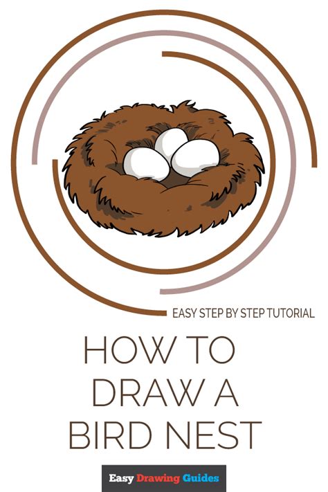 Begin by sketching the rounded top of the nest. How to Draw a Bird Nest - Really Easy Drawing Tutorial