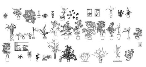 Multiple Decorative Tree Plants Elevation Blocks With Pots Cad Drawing