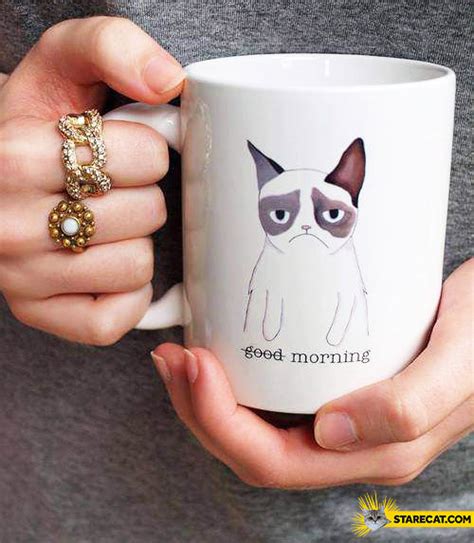 Grumpy Cat Good Morning Mug