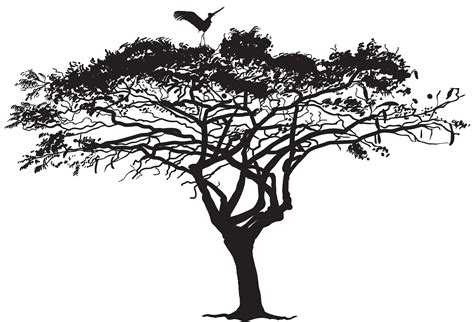 Family cats tree, 27 black silhouettes funny. Exotic Tree and Bird Silhouette PNG Clip Art Image ...