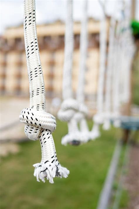 Rope Park Overcoming Obstacles And Reaching Heights Stock Photo Image