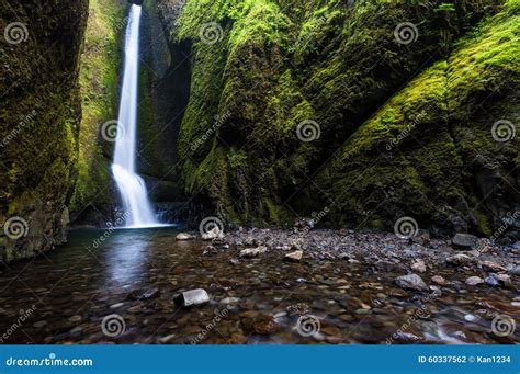 Waterfalls In Oneonta Gorge Trail Oregon Stock Photo Image Of Stream