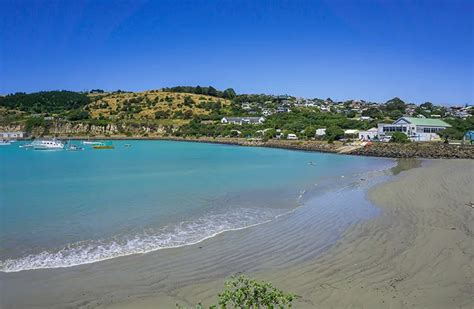 Where Are The Best Beaches In Oamaru See The South Island Nz Travel Blog