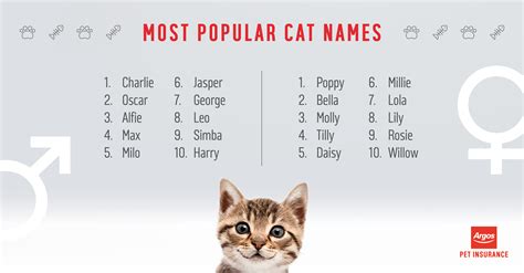 What Are The Most Popular Cat Names Argos Pet Insurance