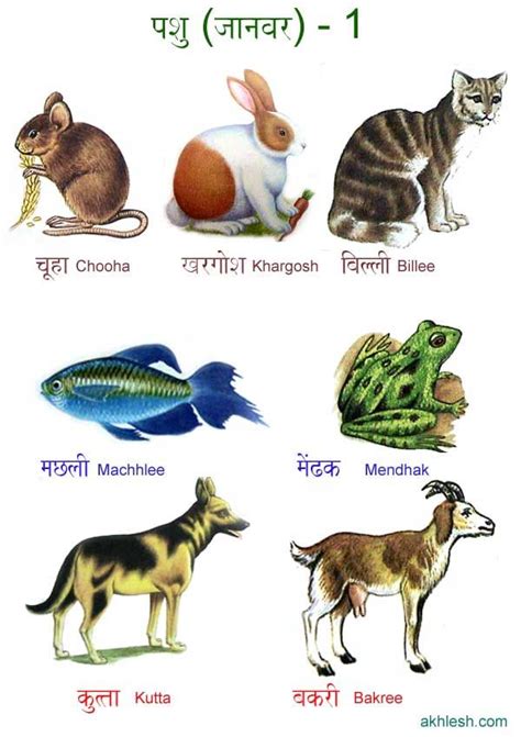 There have been many times that i have been writing a poem and needed a list of animal names that rhymed with one another. Animals in Hindi हिन्दी में जानवर (Hindi taal en zuid aziatische cultuur aan de Universiteit ...