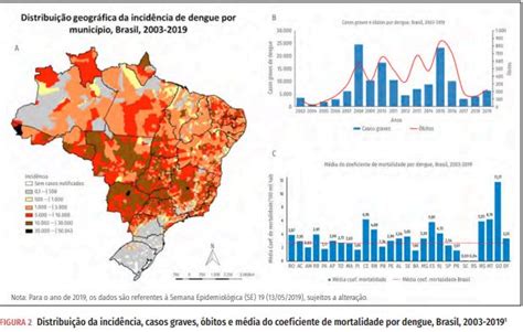 dengue no brasil 11 milhões de casos em 16 anos o que vi e ouvi nas ruas uol vivabem