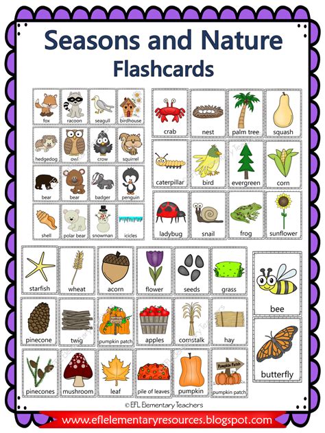 ESL Seasons and Nature Vocabulary | Teacher favorite things, Flashcards, Seasons