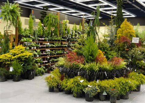 IndoorGardening Garden Center Displays Garden Center Ideas Plants