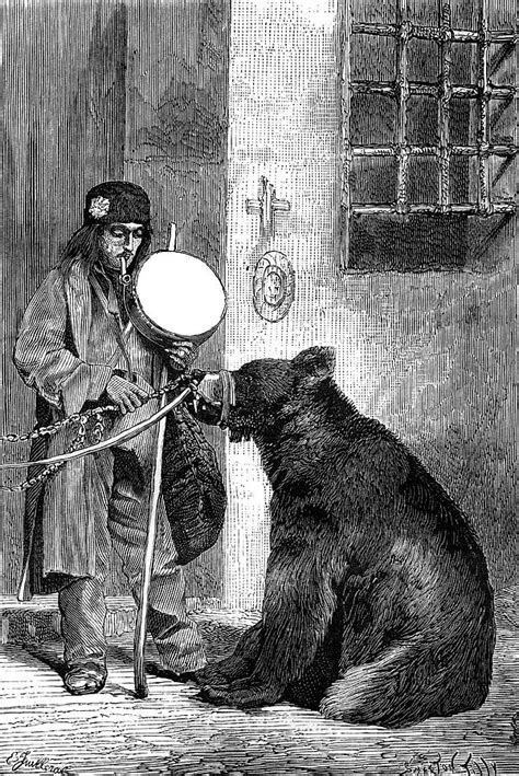 Performing Bear With His Owner Drawing By Mary Evans Picture Library