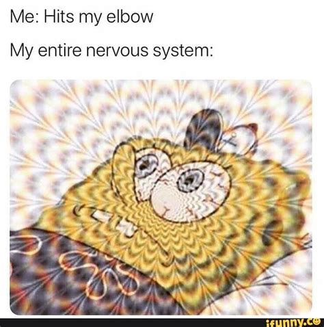 Me Hits My Elbow My Entire Nervous System Crazy Funny Memes