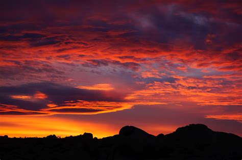 Desert Sunset At Joshua Tree National Park Anne Mckinnell Photography