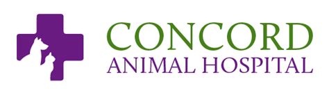 Our Team Concord Animal Hospital