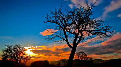Sunset Trees Sky Hd Nature 4k Wallpapers Images Backgrounds Photos And Pictures