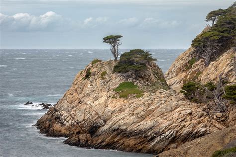 A Lonely Cypress Point Lobos Big Sur California A Monter Flickr