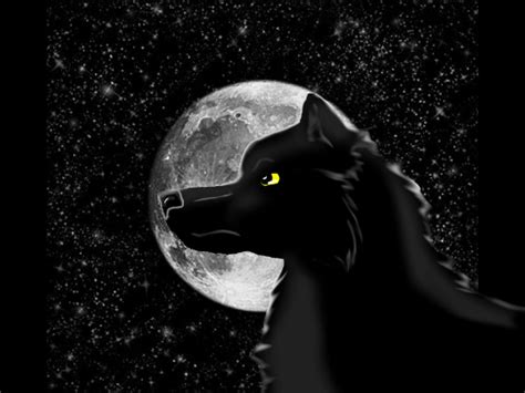 Webkinz Black Wolf And Moon By Sianiithewolf On Deviantart