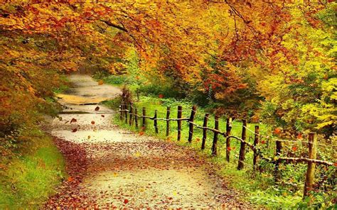 Beautiful Autumn Scenery Wallpapers Full Hd Wallpaper