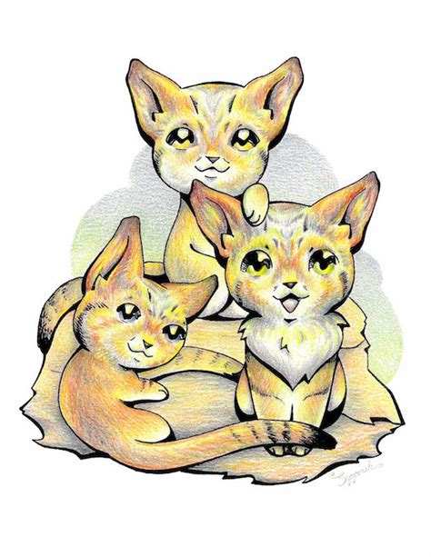 Endangered Animal Sand Cat By Sipporah Art And Illustration Anime