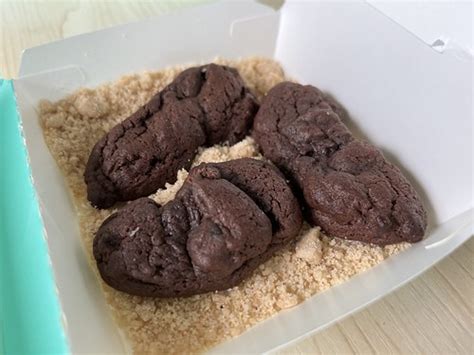 The Traveling Hungryboy Cat Poop Brownies From Nasty Cookie In Singapore