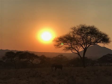 A Very African Scene African Sunset Sunset Scene